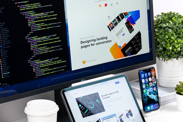 Professional website design